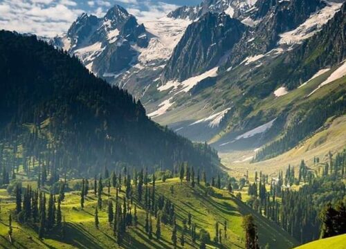 Pahalgam Tour