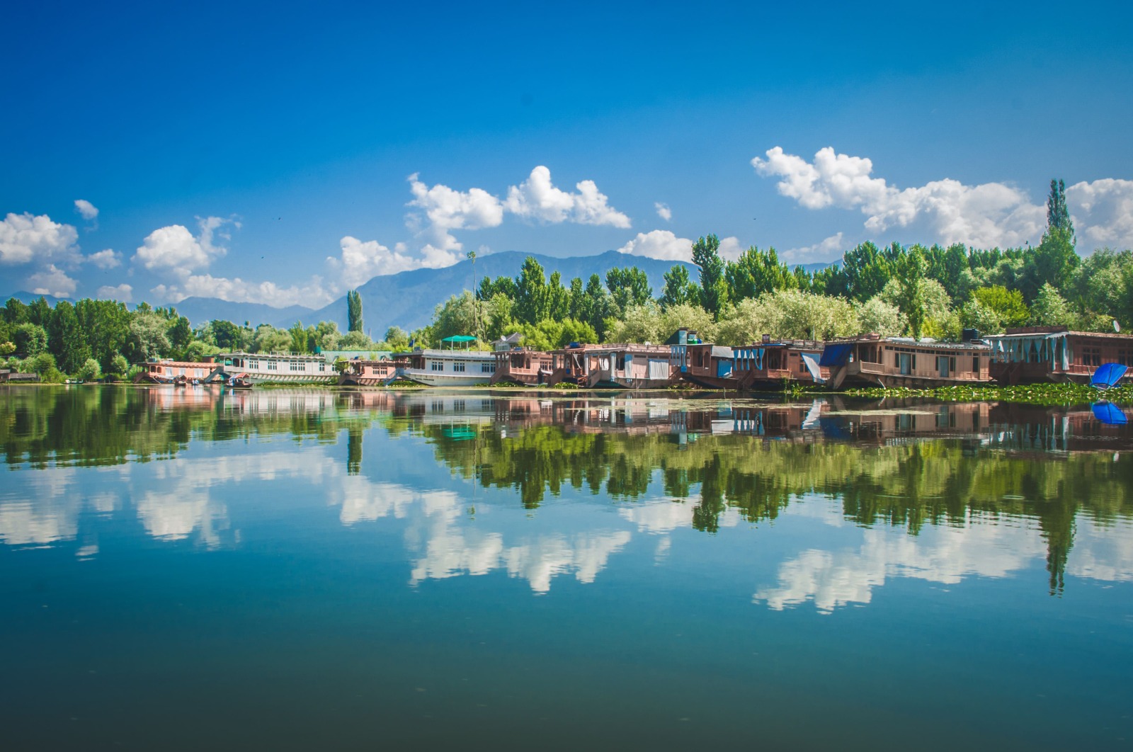 Kashmir Spring Package